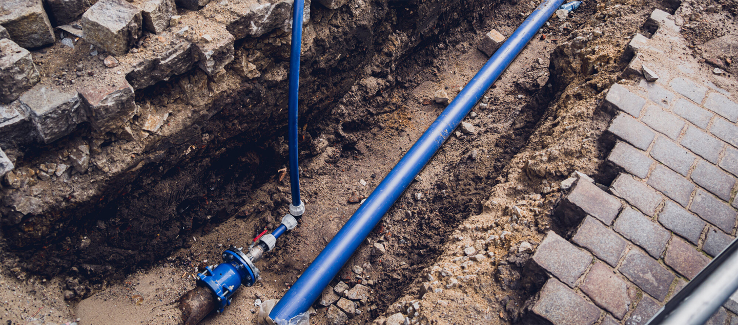 dug up and exposed sewer lines